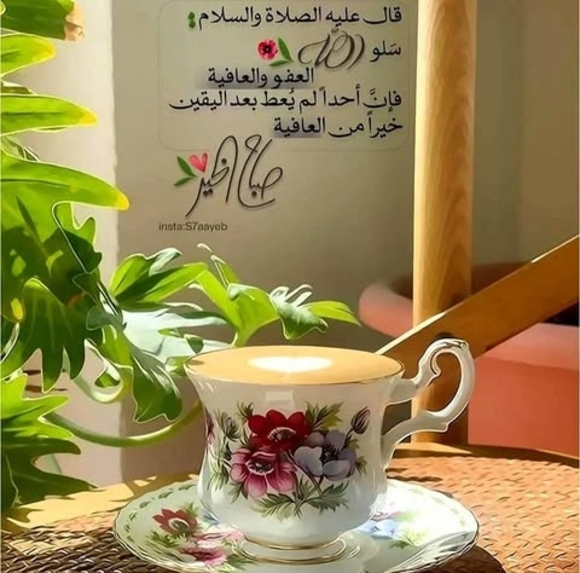 hayatahmed853